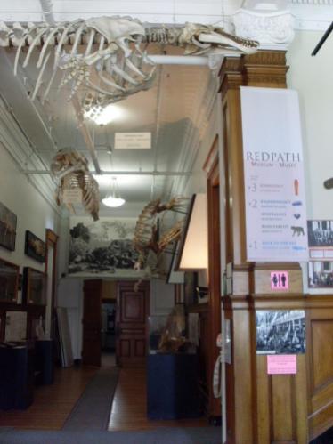 Le hall du Redpath Museum (avec au fond l'entrée vers l'auditorium où j'avais cours)