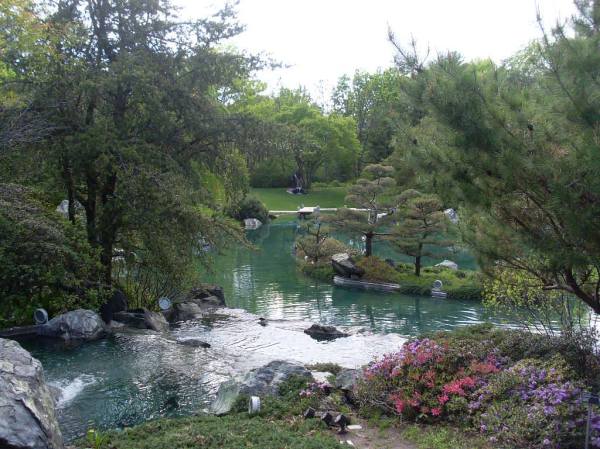 Le jardin japonais, dans le Jardin botanique